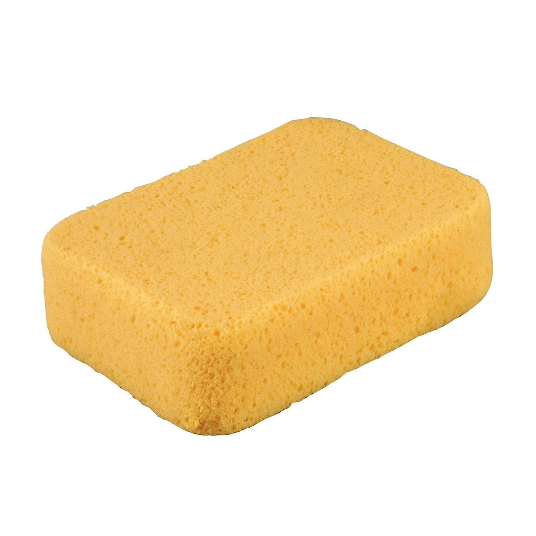 Diall Sponge